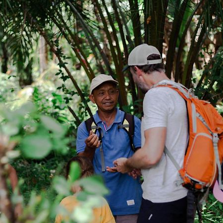 Ambow Homestay Jungle Trekking & Village Tour Bukit Lawang Ngoại thất bức ảnh