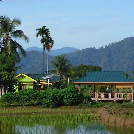 Ambow Homestay Jungle Trekking & Village Tour Bukit Lawang Ngoại thất bức ảnh