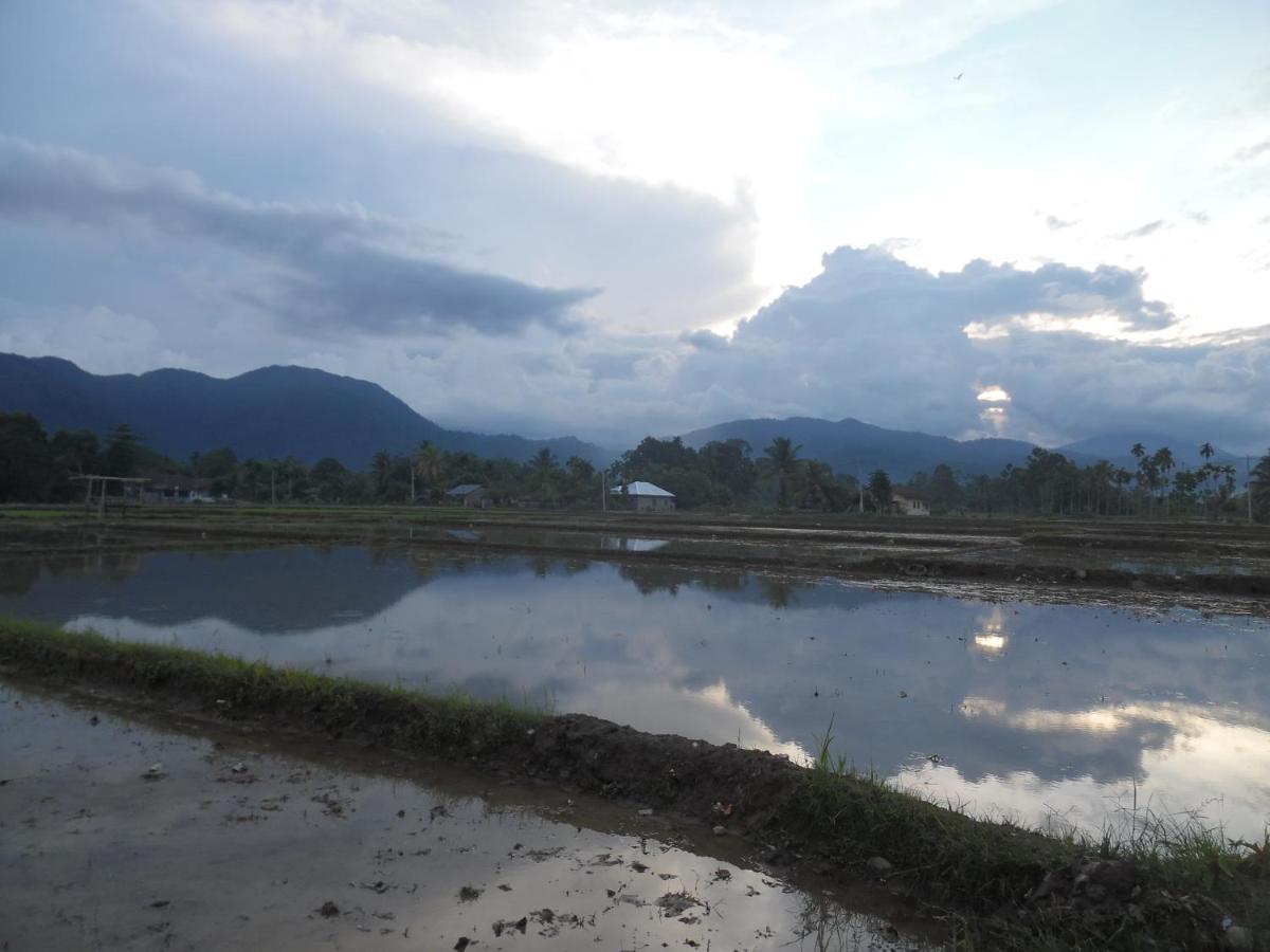 Ambow Homestay Jungle Trekking & Village Tour Bukit Lawang Ngoại thất bức ảnh