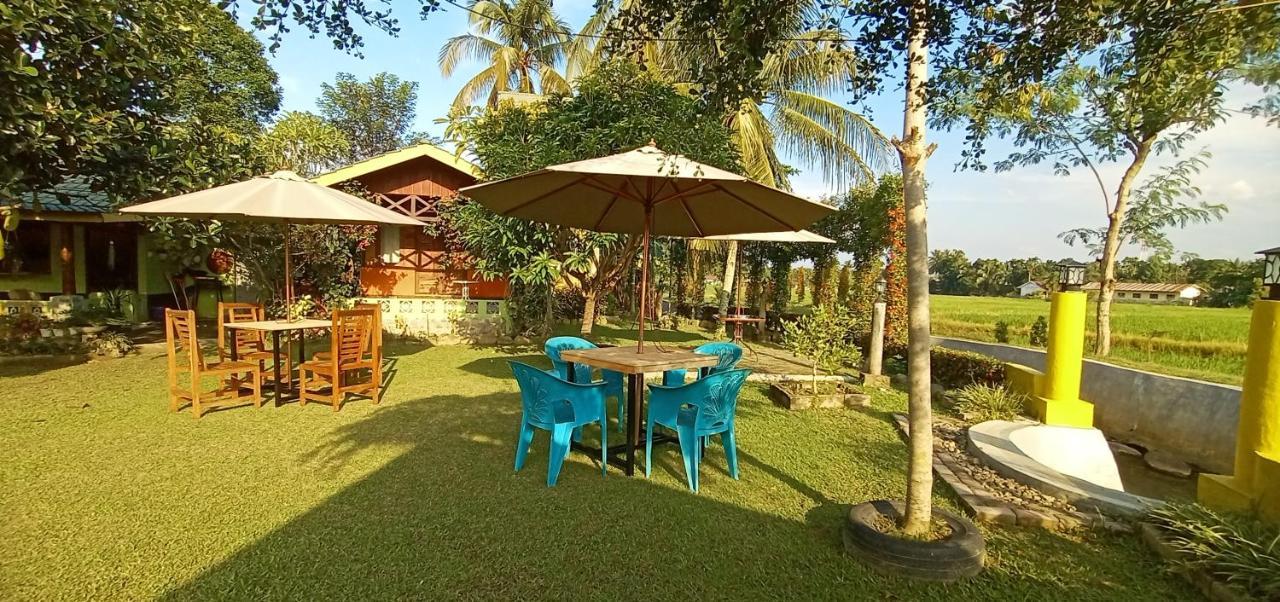 Ambow Homestay Jungle Trekking & Village Tour Bukit Lawang Ngoại thất bức ảnh