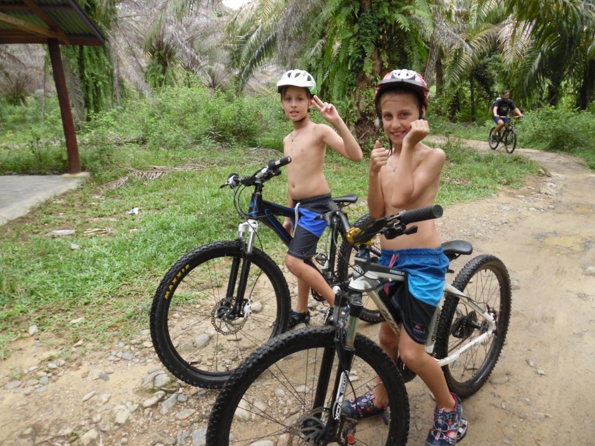 Ambow Homestay Jungle Trekking & Village Tour Bukit Lawang Ngoại thất bức ảnh