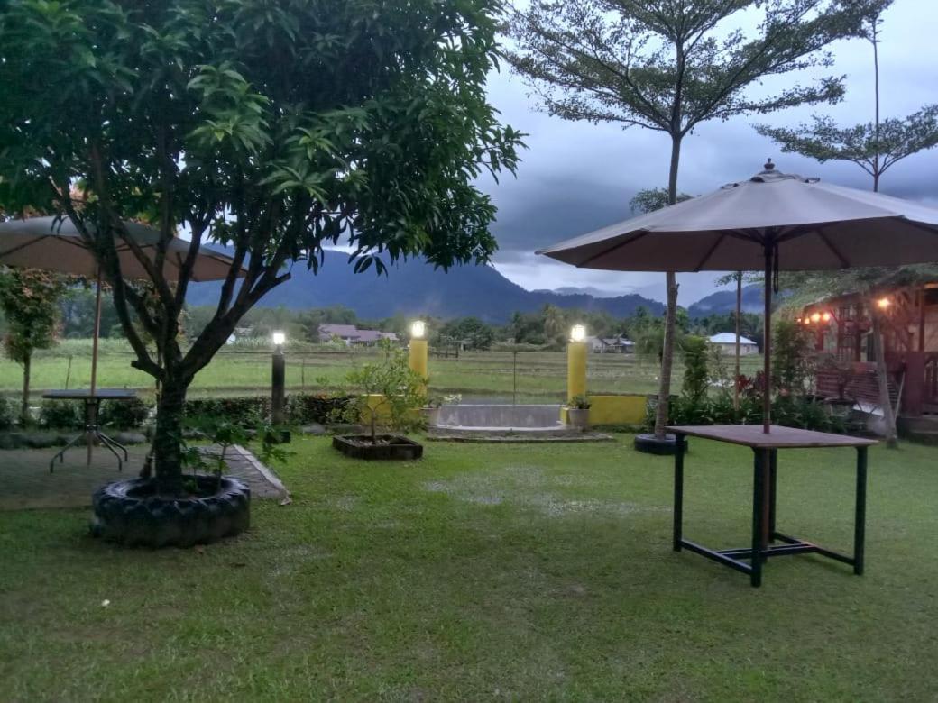 Ambow Homestay Jungle Trekking & Village Tour Bukit Lawang Ngoại thất bức ảnh