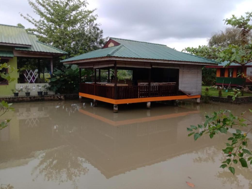 Ambow Homestay Jungle Trekking & Village Tour Bukit Lawang Ngoại thất bức ảnh