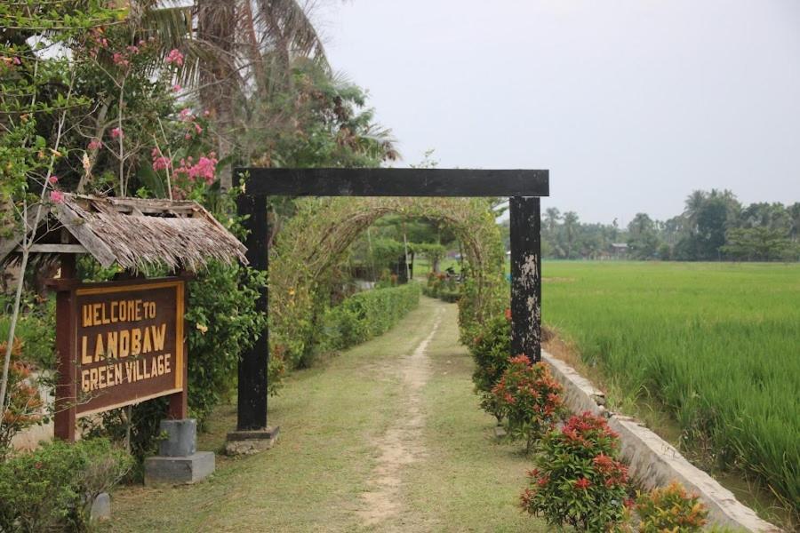Ambow Homestay Jungle Trekking & Village Tour Bukit Lawang Ngoại thất bức ảnh