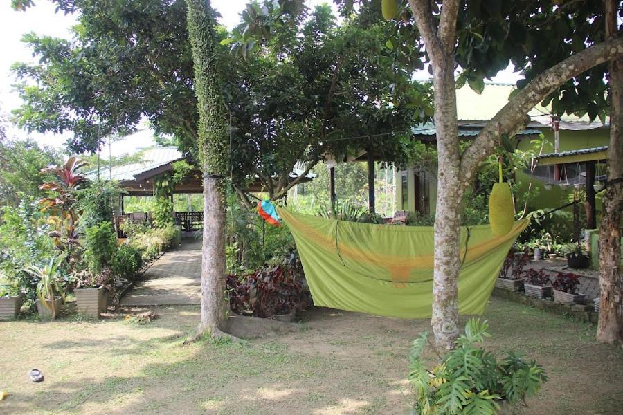 Ambow Homestay Jungle Trekking & Village Tour Bukit Lawang Ngoại thất bức ảnh