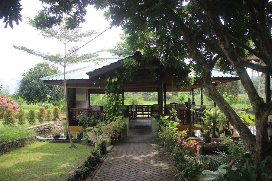 Ambow Homestay Jungle Trekking & Village Tour Bukit Lawang Ngoại thất bức ảnh
