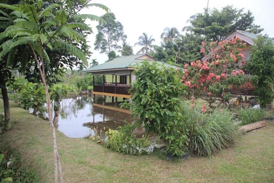 Ambow Homestay Jungle Trekking & Village Tour Bukit Lawang Ngoại thất bức ảnh