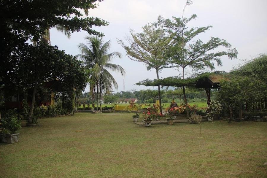 Ambow Homestay Jungle Trekking & Village Tour Bukit Lawang Ngoại thất bức ảnh