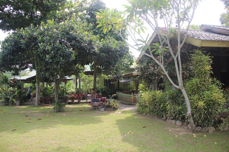 Ambow Homestay Jungle Trekking & Village Tour Bukit Lawang Ngoại thất bức ảnh