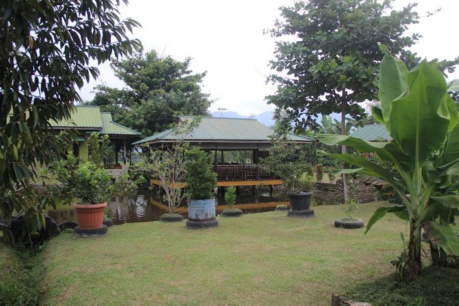 Ambow Homestay Jungle Trekking & Village Tour Bukit Lawang Ngoại thất bức ảnh