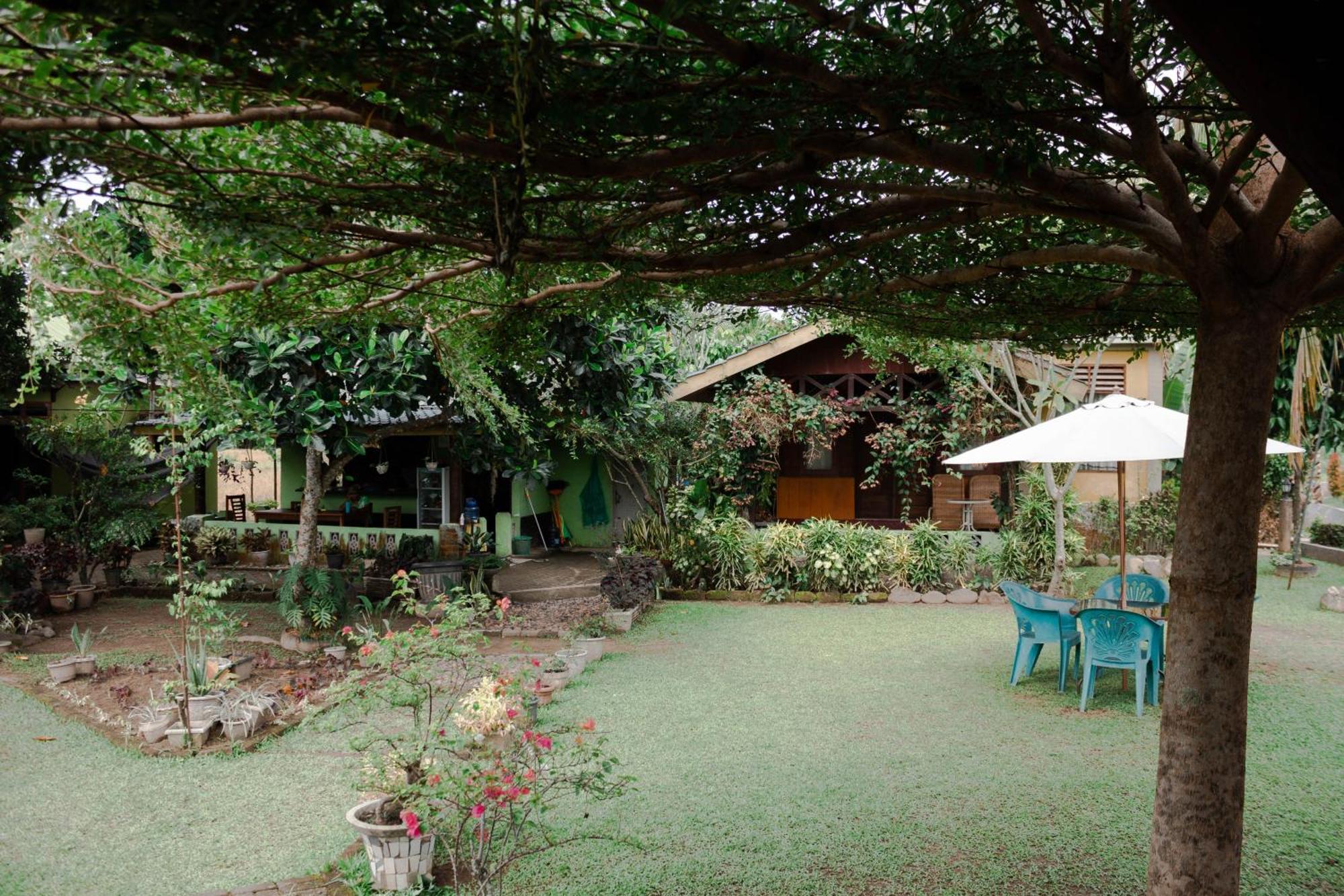 Ambow Homestay Jungle Trekking & Village Tour Bukit Lawang Ngoại thất bức ảnh