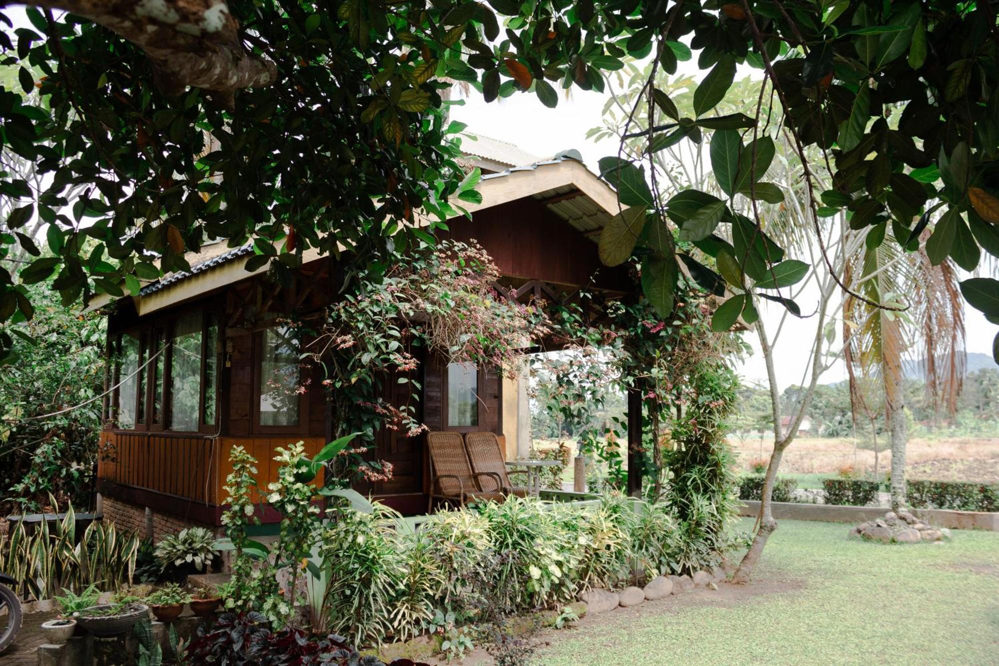 Ambow Homestay Jungle Trekking & Village Tour Bukit Lawang Ngoại thất bức ảnh