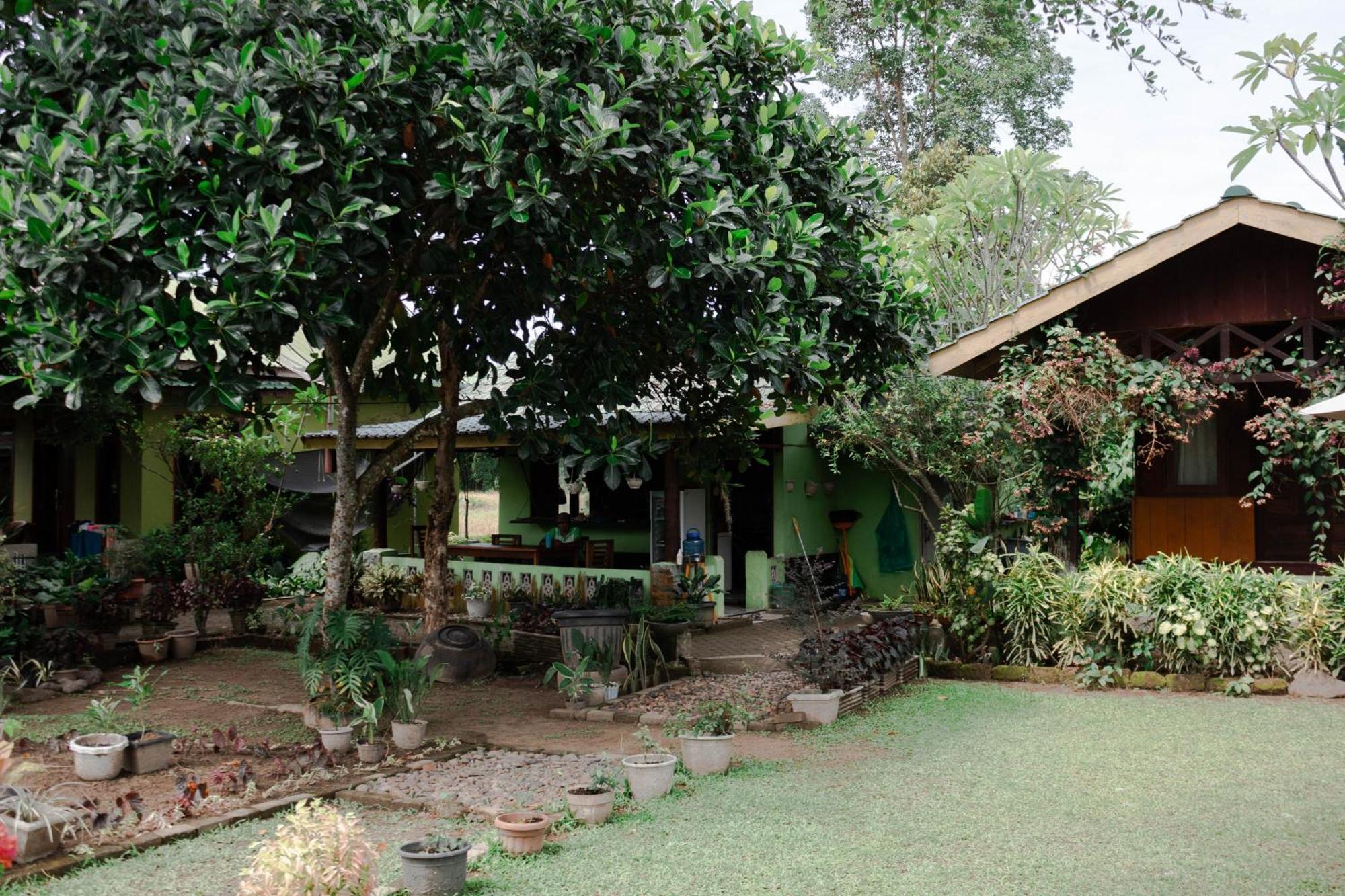 Ambow Homestay Jungle Trekking & Village Tour Bukit Lawang Ngoại thất bức ảnh