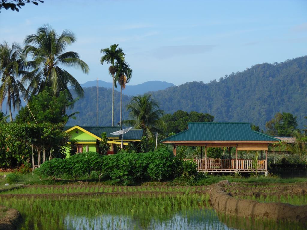 Ambow Homestay Jungle Trekking & Village Tour Bukit Lawang Ngoại thất bức ảnh