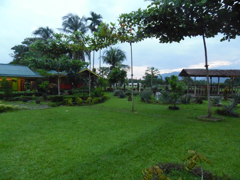 Ambow Homestay Jungle Trekking & Village Tour Bukit Lawang Ngoại thất bức ảnh