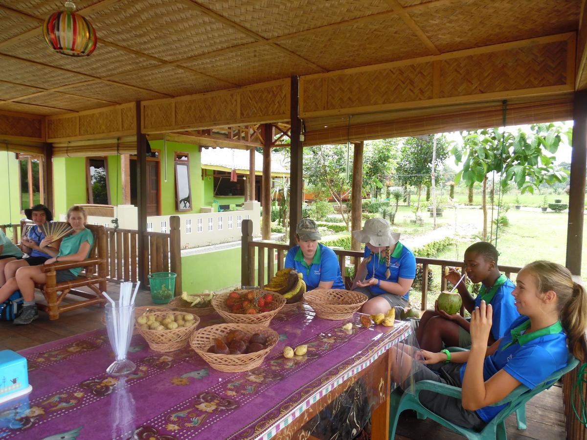 Ambow Homestay Jungle Trekking & Village Tour Bukit Lawang Ngoại thất bức ảnh