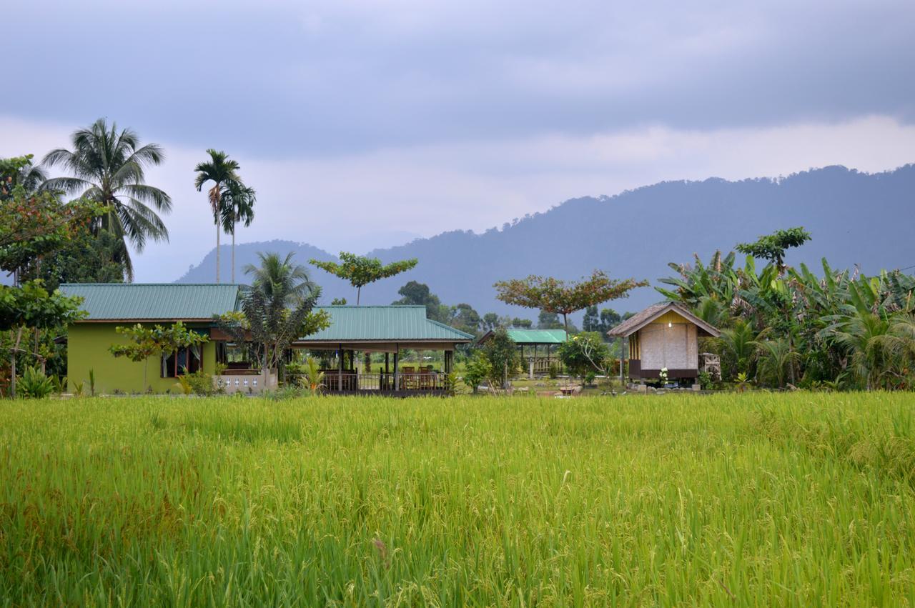 Ambow Homestay Jungle Trekking & Village Tour Bukit Lawang Ngoại thất bức ảnh