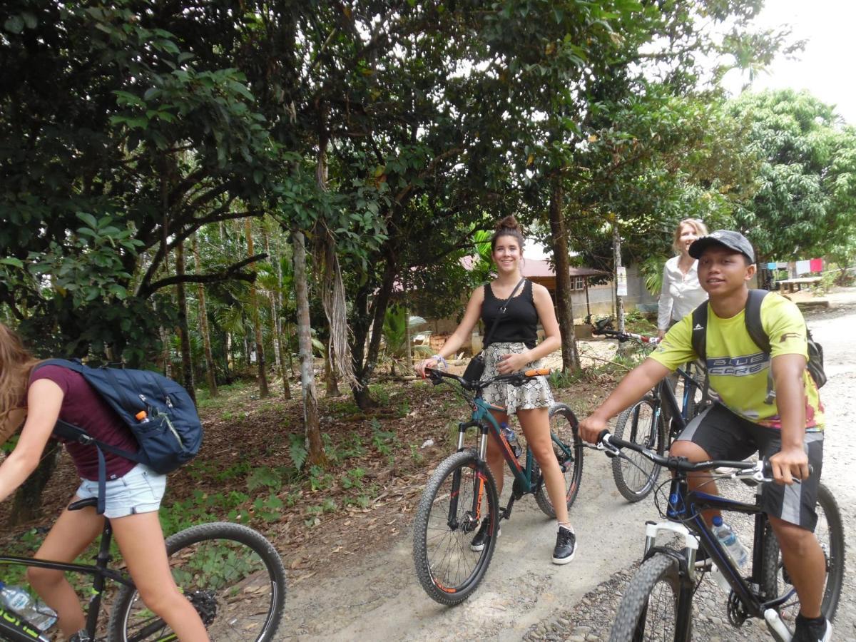 Ambow Homestay Jungle Trekking & Village Tour Bukit Lawang Ngoại thất bức ảnh