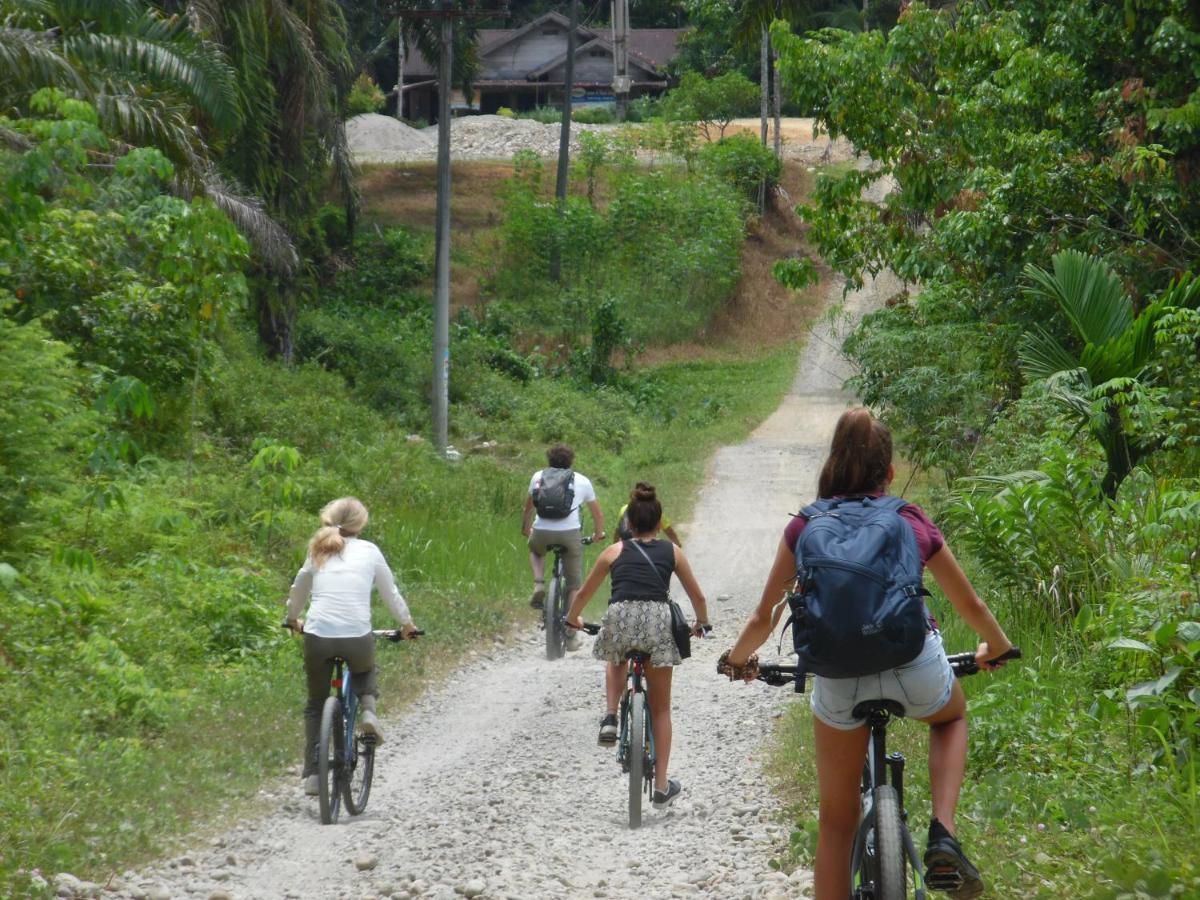 Ambow Homestay Jungle Trekking & Village Tour Bukit Lawang Ngoại thất bức ảnh