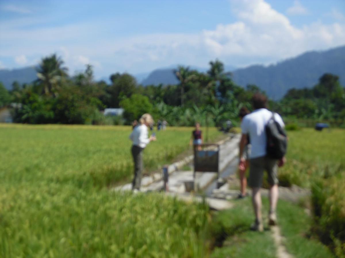 Ambow Homestay Jungle Trekking & Village Tour Bukit Lawang Ngoại thất bức ảnh