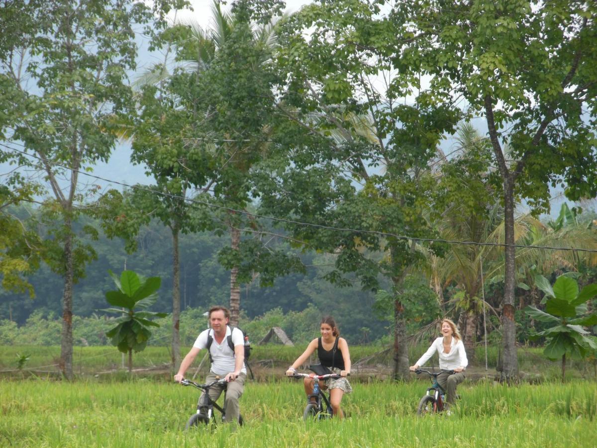 Ambow Homestay Jungle Trekking & Village Tour Bukit Lawang Ngoại thất bức ảnh
