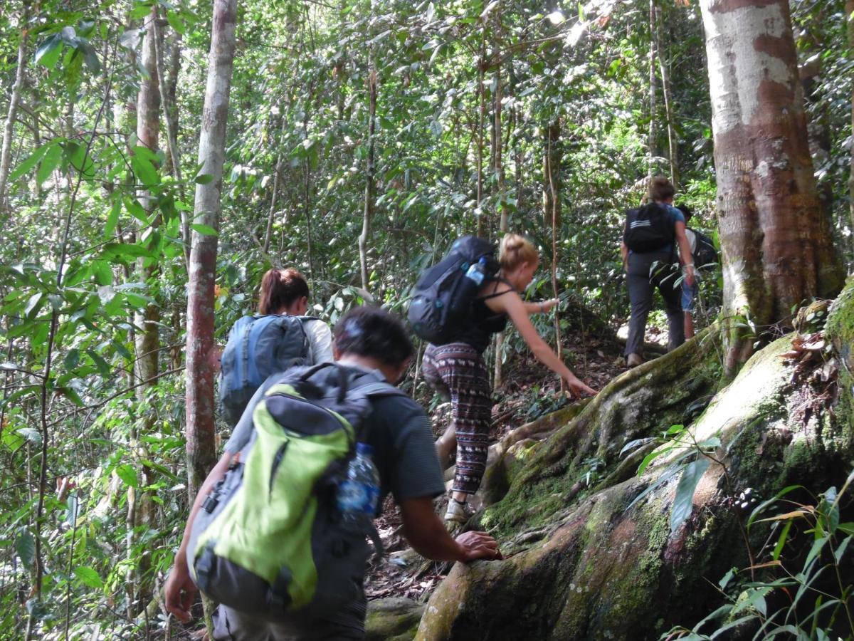 Ambow Homestay Jungle Trekking & Village Tour Bukit Lawang Ngoại thất bức ảnh
