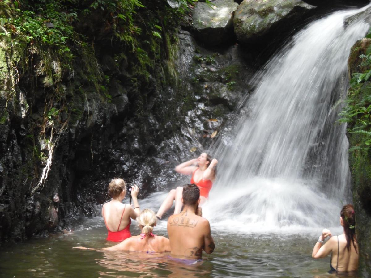 Ambow Homestay Jungle Trekking & Village Tour Bukit Lawang Ngoại thất bức ảnh