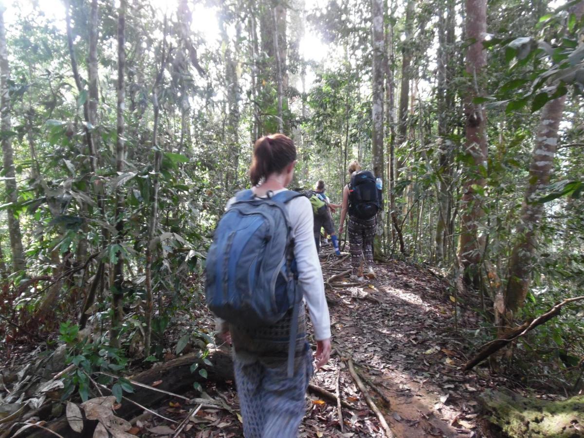 Ambow Homestay Jungle Trekking & Village Tour Bukit Lawang Ngoại thất bức ảnh