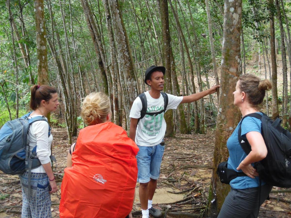 Ambow Homestay Jungle Trekking & Village Tour Bukit Lawang Ngoại thất bức ảnh