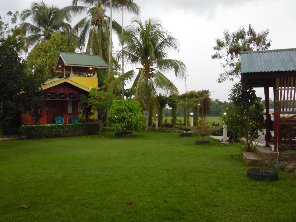 Ambow Homestay Jungle Trekking & Village Tour Bukit Lawang Ngoại thất bức ảnh