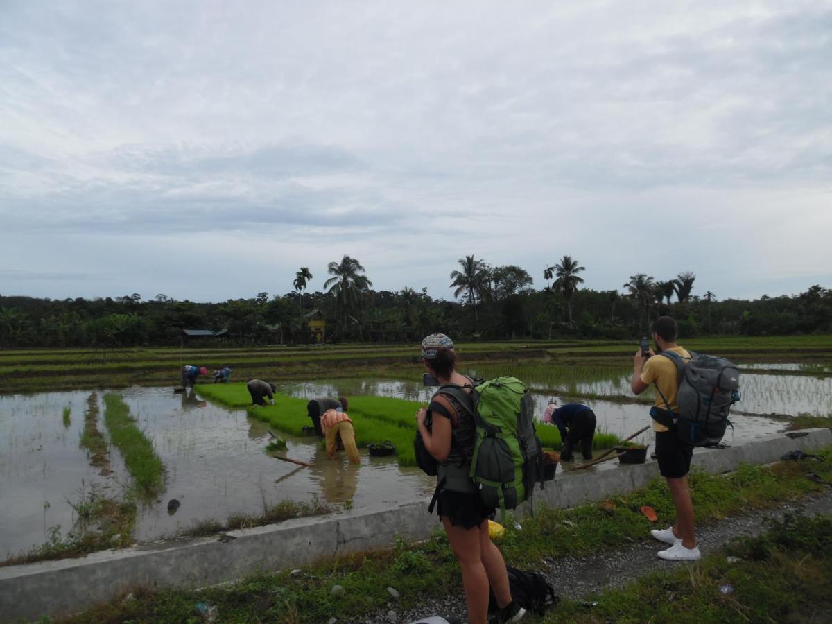 Ambow Homestay Jungle Trekking & Village Tour Bukit Lawang Ngoại thất bức ảnh